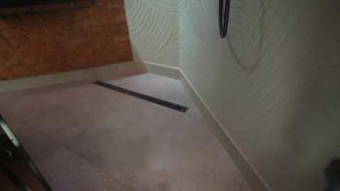 arte_adelle free recording from 2025-12-25 00:20:00