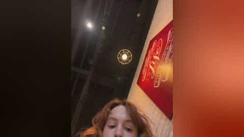 Video of a young woman with red hair, standing in a dimly lit room. A bright, circular light fixture hangs above her, casting a warm glow. A red sign with white text is partially visible on the right wall.