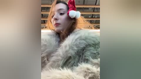 lillukatten free recording from 2025-12-25 03:45:00