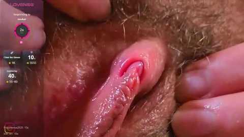 lolly_red_ free recording from 2025-12-25 00:33:00