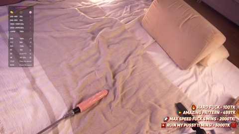 mery_gomez free recording from 2025-12-25 00:44:00