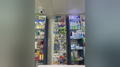 roouse free recording from 2025-12-25 00:44:00