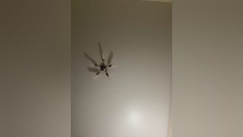 sweet_khalifa_ free recording from 2025-12-25 00:20:00