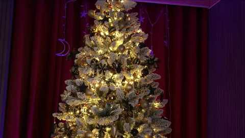 vitoriacarusso free recording from 2025-12-26 00:07:00