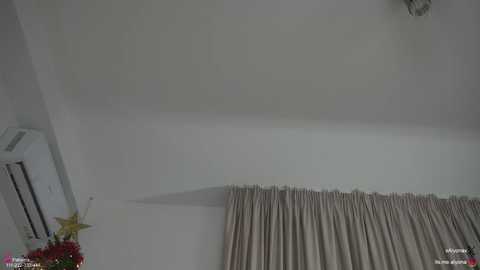 A video of a minimalist room with white walls and beige curtains. An air conditioner is visible on the left wall, and a floral arrangement with red and yellow flowers sits on a small table in the bottom left corner.