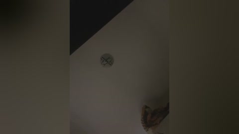 boneca25 free recording from 2025-12-26 00:25:00