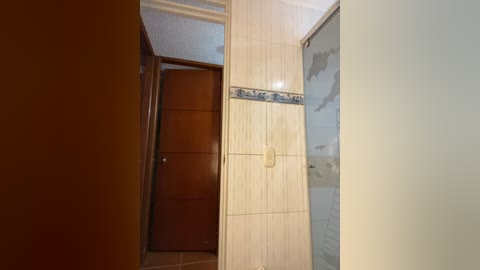 Video of a narrow, beige-tiled bathroom with a wooden door on the left and a glass shower enclosure on the right. The ceiling has white textured panels.