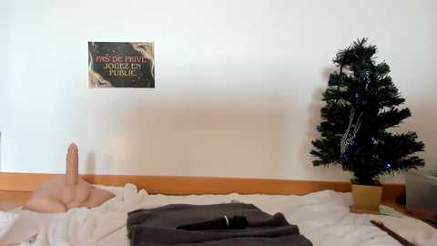 francesexe free recording from 2025-12-26 00:48:00