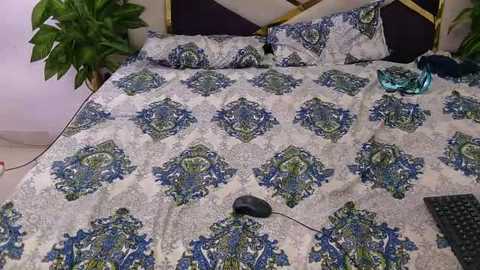 A video of a neatly made bed with a patterned duvet featuring intricate green and blue paisley designs. The headboard is gold-toned, and a black mouse is placed on the duvet. A plant sits in the corner, and a laptop is visible on the bed.