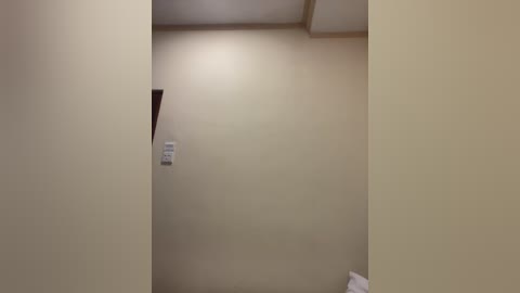 Video of a narrow, beige hallway with a white light switch on the left wall and a white towel on the right. The ceiling has a recessed light.
