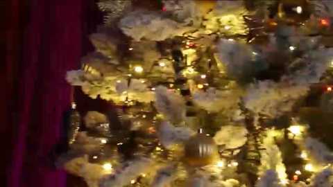 vitoriacarusso free recording from 2025-12-26 00:19:00