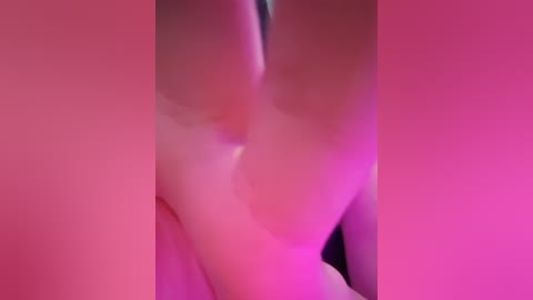 _arabica_ free recording from 2025-12-27 00:14:00