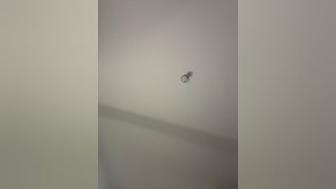 A video of a small, shiny, metallic object, possibly a pin, stuck on a plain white wall. The background is simple and uncluttered, with soft shadows creating a minimalistic and clean aesthetic.