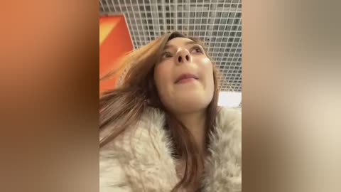 lillukatten free recording from 2025-12-27 03:37:00