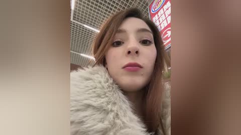 lillukatten free recording from 2025-12-27 03:37:00