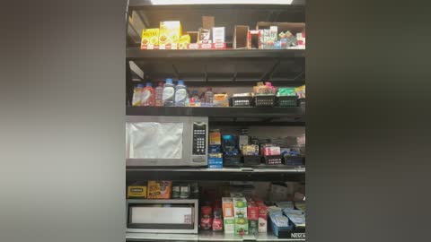 andrea_19blonde free recording from 2025-12-29 00:03:00