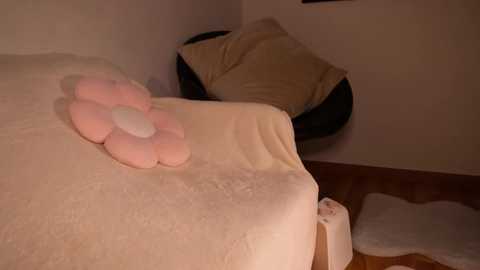 Video of a cozy bedroom with a plush, light pink paw cushion on a beige bedspread, a cream-colored cat bed, and a white rug on wooden floor.