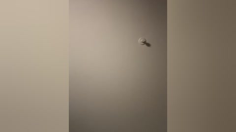 cecilia0o free recording from 2025-12-28 00:10:00