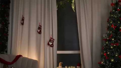 cindygarrison free recording from 2025-12-28 00:09:00