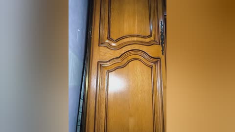 Media: A video of a polished, light-brown wooden door with intricate, curved paneling, set against a beige wall, displaying a detailed, elegant design. The door's surface reflects light, highlighting its smooth texture.