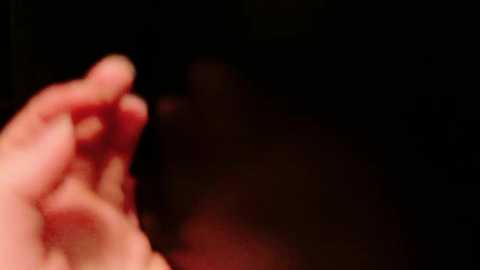 haruruhappy free recording from 2025-12-28 00:09:00