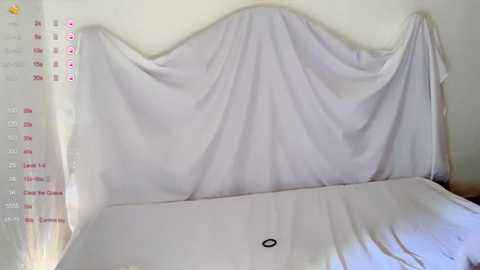 irene___ free recording from 2025-12-28 00:13:00