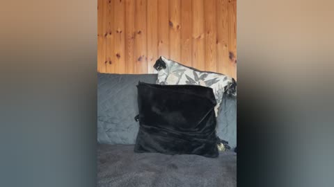 petrouchkaaa_ free recording from 2025-12-28 00:09:00