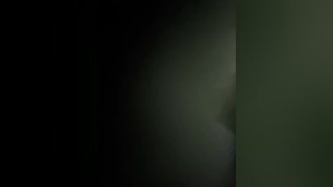 xixi_gala free recording from 2025-12-28 00:09:00