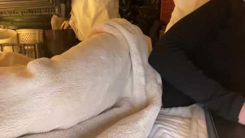 18yoteenvirgin free recording from 2025-12-29 01:17:00