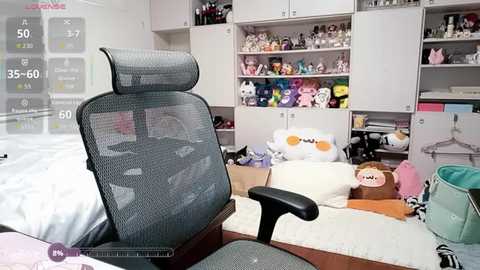 Media: Video of a messy bedroom with a gray office chair, a cluttered white desk, stuffed animals, and shelves filled with more plushies.