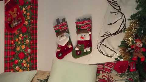 amilewis free recording from 2025-12-29 01:17:00