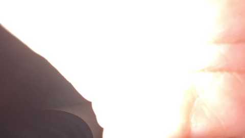 elithee__ass___ free recording from 2025-12-29 01:17:00