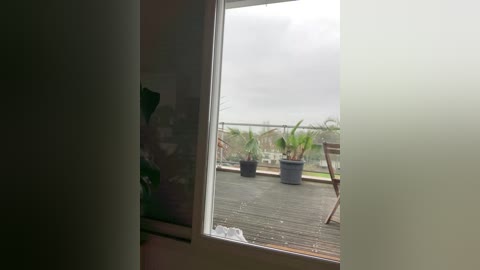 A video of a small balcony with two large potted plants and wooden furniture under a cloudy sky. The image is taken from a dimly lit room with a partially open door.