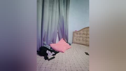 _arabica_ free recording from 2025-12-30 00:30:00