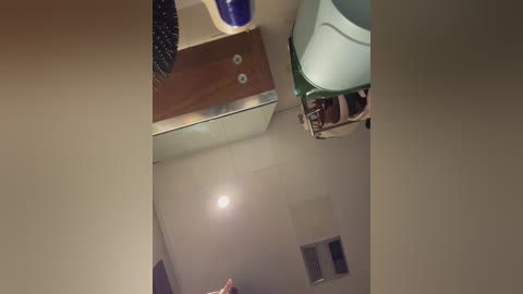 _cyber_butterfly_ free recording from 2025-12-30 00:30:00