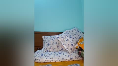 bristy_ free recording from 2025-12-30 00:16:00