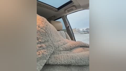 dollytall free recording from 2025-12-30 00:02:00