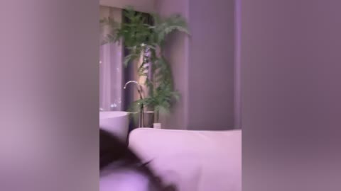 linjianvhai free recording from 2025-12-30 00:30:00