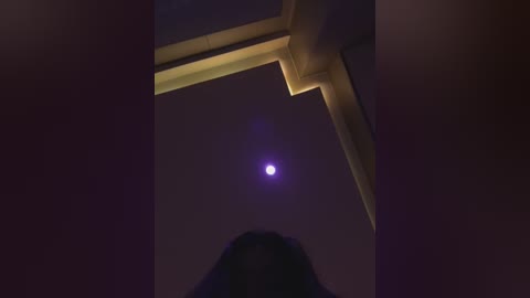 linjianvhai free recording from 2025-12-30 00:30:00