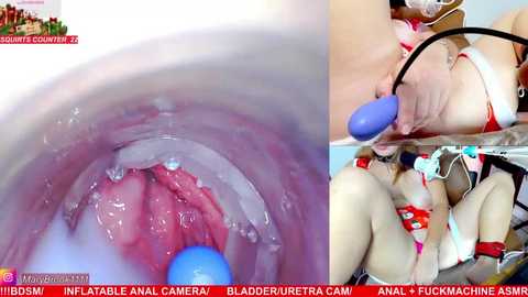 marybrook1 free recording from 2025-12-30 00:33:00