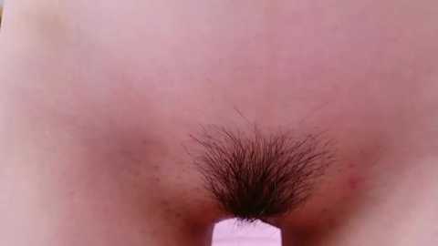 A close-up video of a person's armpit with a thick, dark, curly underarm hair, surrounded by light pink skin. The background is out of focus.