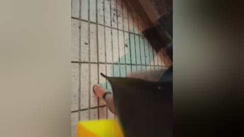 ninabigtitied free recording from 2025-12-31 00:01:00