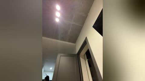 rinacat free recording from 2025-12-30 00:02:00