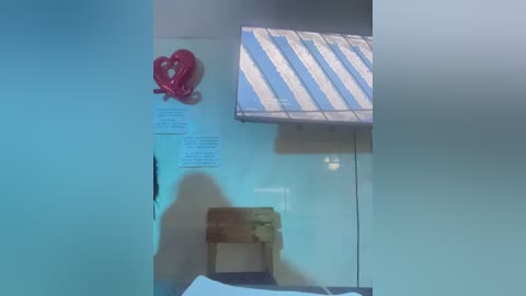 Video of a room with a red rope, blue and white striped wall, two white papers, and a shadow on a glass surface, indicating a window or mirror.