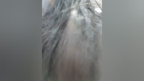 wsyx326 free recording from 2025-12-30 00:02:00