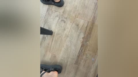 angelinateller free recording from 2025-12-31 00:01:00