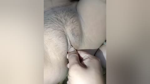 Media: Close-up video of a person's pubic area, showing a hand pulling apart the labia to expose the vaginal opening. The skin is light-toned, with visible pubic hair.