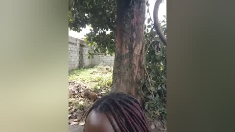 broan_me free recording from 2025-12-31 00:10:00