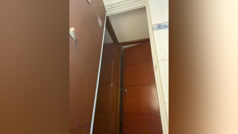 bunny_sexy01 free recording from 2025-12-31 02:03:00