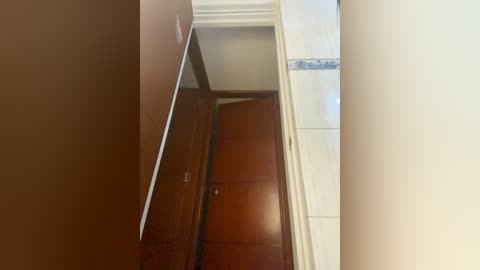 bunny_sexy01 free recording from 2025-12-31 02:03:00